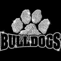 GLT32 SILVER GLITTER Thumbnail